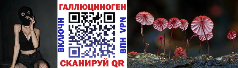 хочу   ссылка на мегу как войти  Галлюциногенные грибы Cubensis  Лесосибирск 